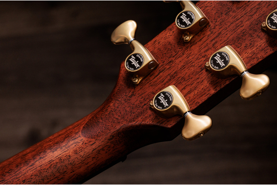 Taylor Builder's Edition 814ce Next Generation image 8