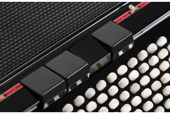Alpenklang Pro Fisarmonica IV 96 CM Nera image 8