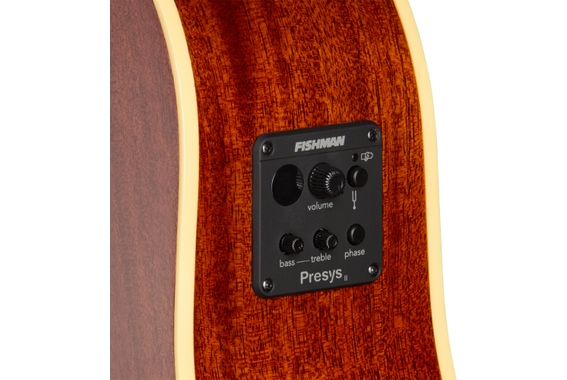 Epiphone J-45 Standard EC Honey Burst image 8