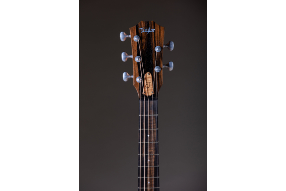Taylor Jacob Collier Signature JCSM-5  image 8