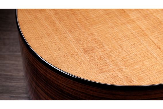 Taylor 254ce Plus image 8