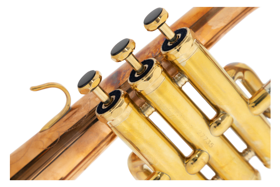 Lechgold FH-60GR Flugelhorn sin tratar Set Deluxe image 8