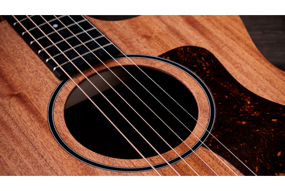 Taylor 24ce image 8