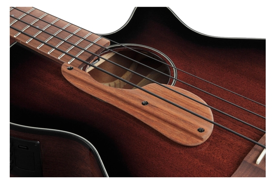 Ibanez AEGB24E-MHS Basse Acoustique Acajou Sunburst Brillant image 8
