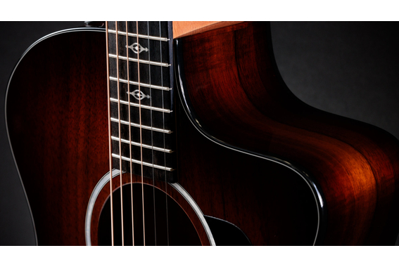 Taylor 224ce-K DLX Shaded Edgeburst image 8