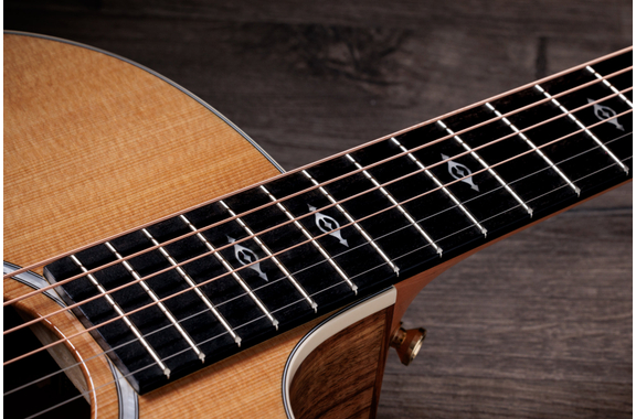 Taylor 214ce-K DLX image 8