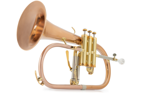 Lechgold FH-60GB Bugle en Sib brossé image 8