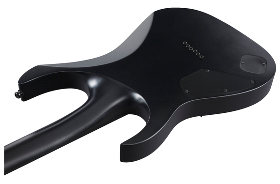 Ibanez RGRTB621-BKF Iron Label image 8