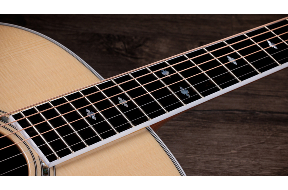 Taylor Legacy 815e Jumbo  image 8