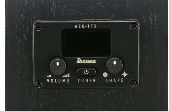Ibanez AEG621-BOT Guitare Folk Black Out image 8