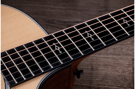 Taylor 314ce Next Generation image 8