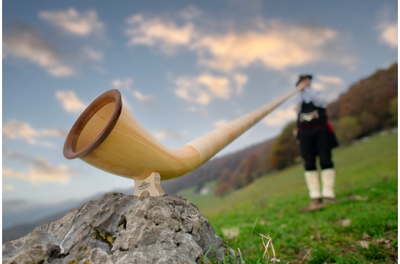 Lechgold Alphorn Deluxe F 360 cm 3-Piece image 8