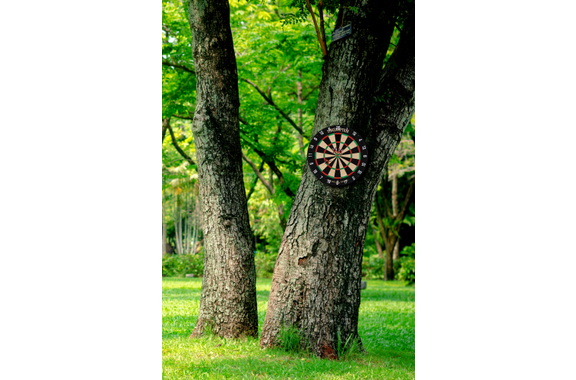 Stagecaptain DBS-1715C BullsEye Champion Dianas de Dardos image 8