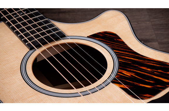 Taylor Next Generation 312ce (2026) image 8