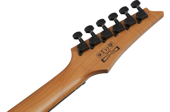 Ibanez GRGR221FA-TDK GIO RGR Transparent Indigo Black image 8