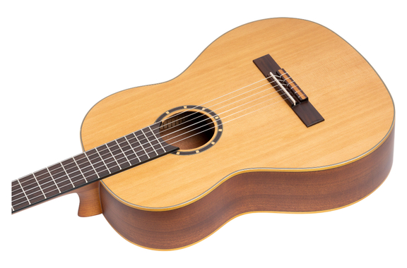 Ortega R122L image 8