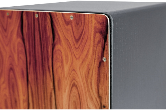 PUR Vision One Santos Palisander image 8