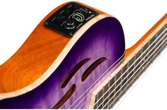 Ortega TourPlayer Special Edition image 8
