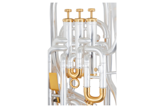 Lechgold Luxe EU-310SB Euphonium verzilverd geborsteld Deluxe Set image 8