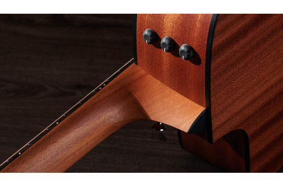 Taylor 150ce 12-String Western Gitaar image 8