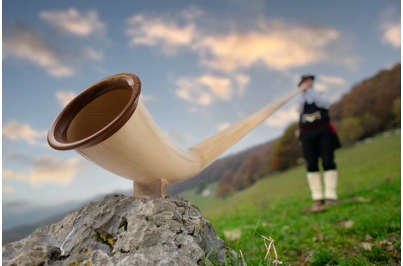 Lechgold Alphorn Natural F 360 cm 3-Piece image 8