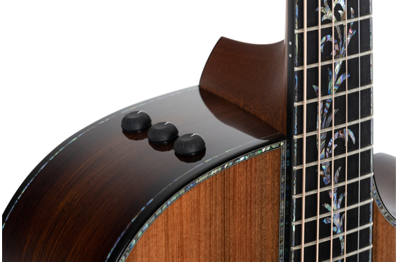 Taylor PS14ce Guitarra Western image 8