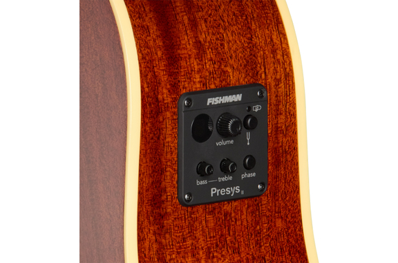 Epiphone J-45 Standard EC Honey Burst image 8