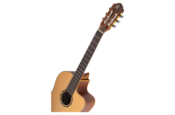 Ortega RCE131SN image 8