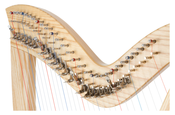 Classic Cantabile H-29 AW Harpe Celtique 29 Cordes image 8