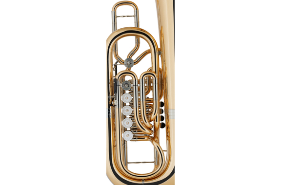 B&S F-Tuba 3100WG Jens Björn Larsen image 8