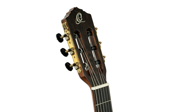 Ortega BYWSM Billy Watman Signature Guitar image 8