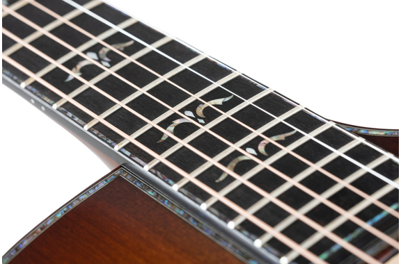 Taylor C14ce Custom #29 GA Master  image 8
