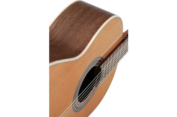 Ortega R20GSNWN Traditional Series 4/4 Guitare Classique image 8