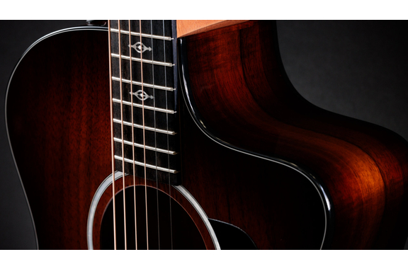 Taylor 224ce-K DLX Shaded Edgeburst image 8