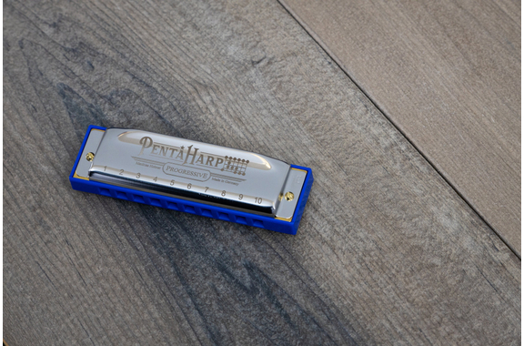 Hohner Penta Harp Mondharmonica D-mineur image 8