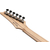Ibanez RGA21P1PB-DRL Premium RGA Deep Twilight Burst Low Gloss thumbnail 9