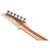 Ibanez PWM20 Paul Waggoner Signature White  - Retoure (Zustand: gut) thumbnail 9
