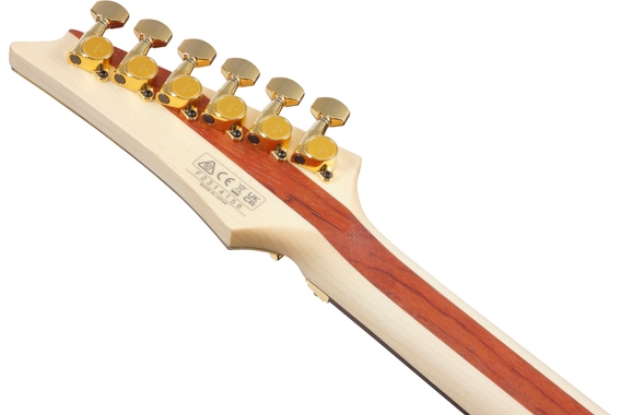 Ibanez JS1GD JS Joe Satriani Signature "Goldboy" image 9
