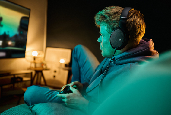 Set de Auriculares HiFi Sennheiser HD 550 image 9