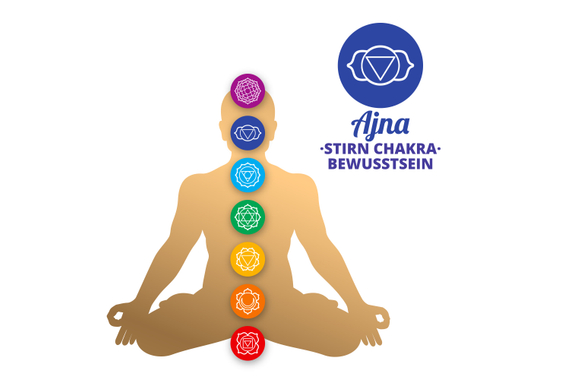 XDrum Therapeutic Klangschale Ton A / 650 g Kissen Set image 9