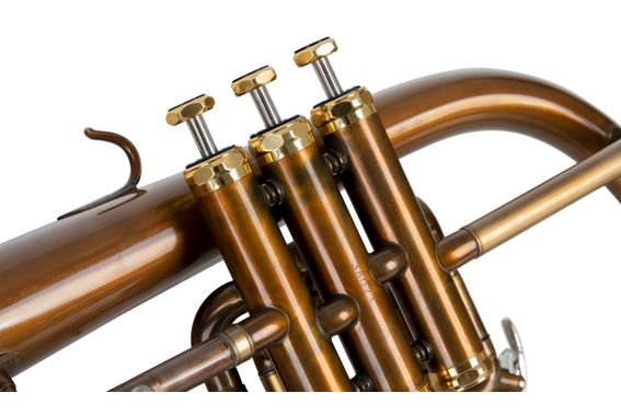 Lechgold FH-60GV Bb-Flügelhorn antik Deluxe Set image 9