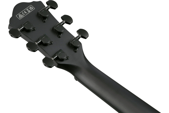 Ibanez AEWC621-BOT Black Out image 9