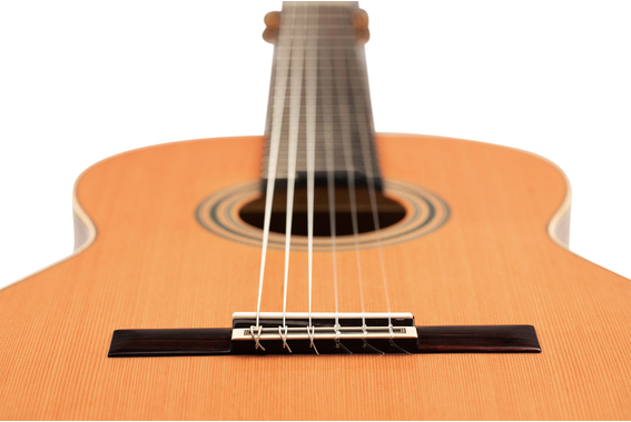 Ortega R20GRG Traditional Series 4/4 Konzertgitarre image 9