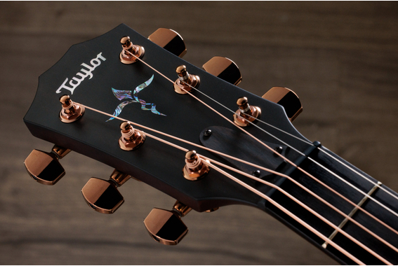 Taylor Special Edition K24ce image 9