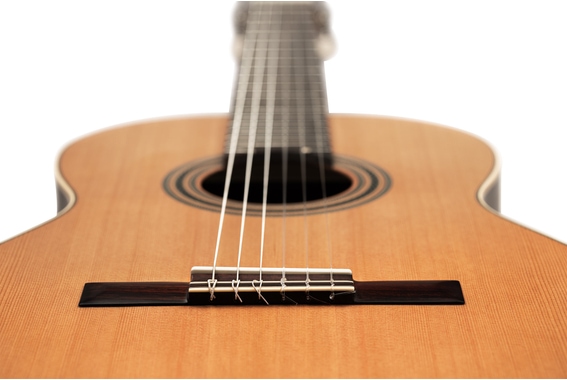 Ortega R18S Traditional Series 4/4 Chitarra Classica image 9