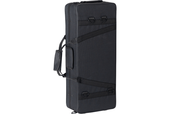 Classic Cantabile AS-450 Eb-Altsaxophon  - B-Ware (Zustand: sehr gut) image 9