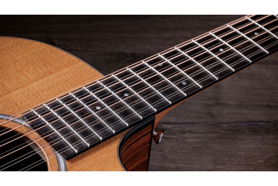 Taylor 254ce Plus image 9