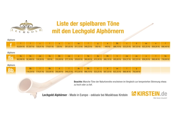 Lechgold Alphorn Natur F 360 cm 3-teilig  - Retoure (Zustand: sehr gut) image 9