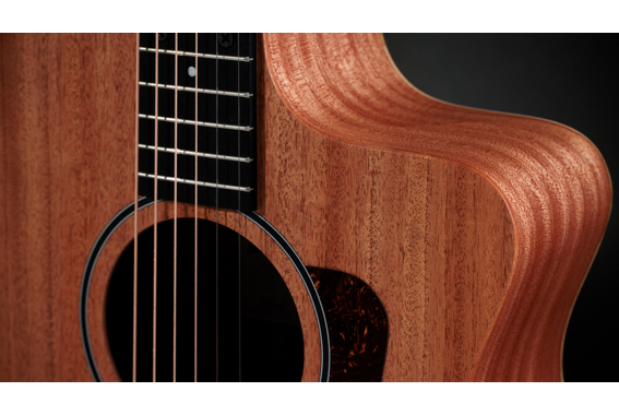 Taylor 24ce image 9