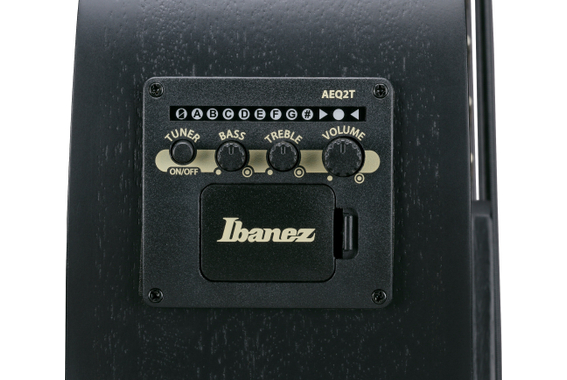Ibanez AEGB420-BOT Basse Acoustique Black Out image 9